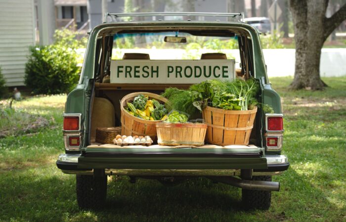 How To Safely Transport Vegetables?